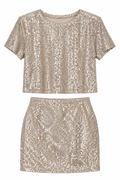 conjunto de lentejuelas en tono champagne plateado